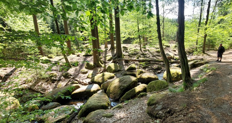 fotografie z akce Sváteční výlet s Přemkem