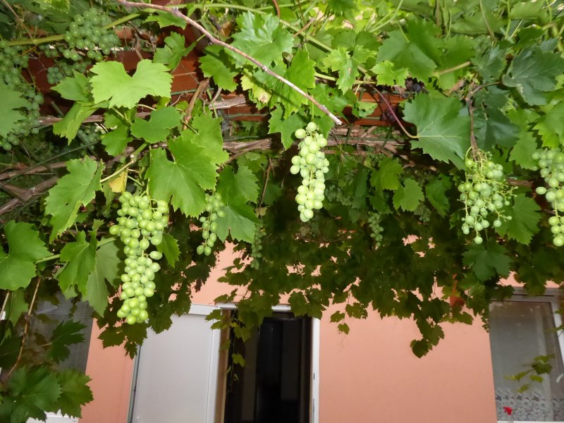 fotografie z akce Týden v Šatově s Přemkem - I.