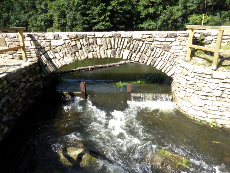 fotografie z akce Týden v Šatově s Přemkem - I.