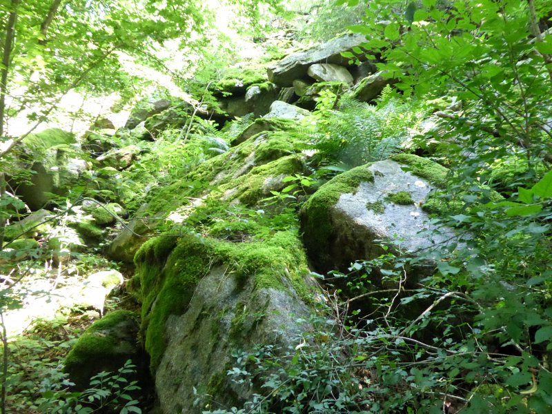 fotografie z akce Týden v Šatově s Přemkem - I.