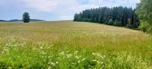 fotografie č. 20