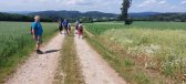 fotografie č. 43
