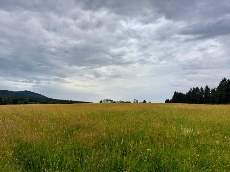 fotografie z akce Týden v Českém lese - I.