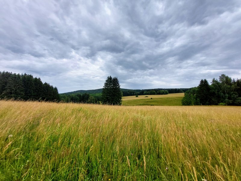 fotografie z akce Týden v Českém lese - I.