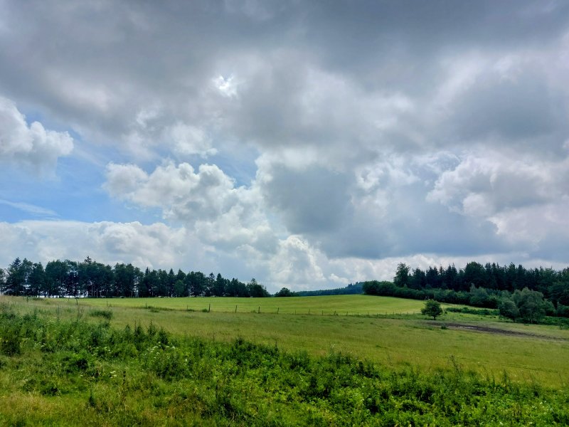 fotografie z akce Týden v Českém lese - I.