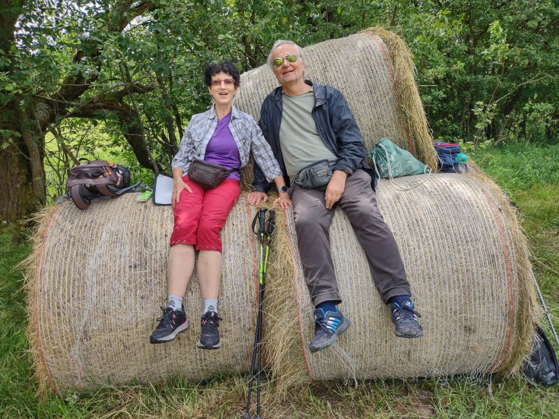 fotografie z akce Týden v Českém lese - I.