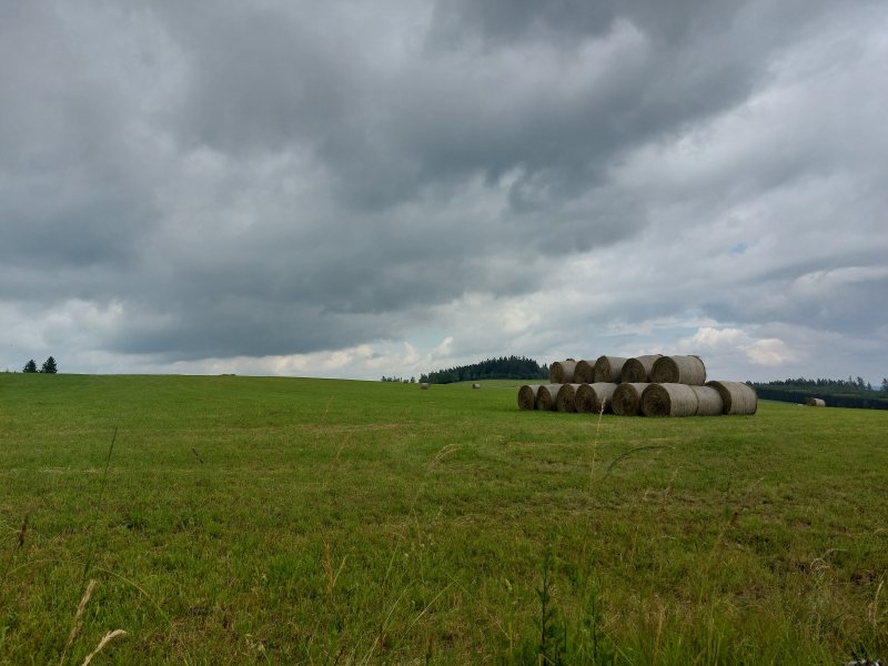 fotografie z akce Týden v Českém lese - I.