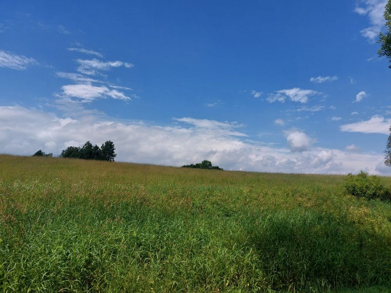 fotografie z akce Týden v Českém lese - I.