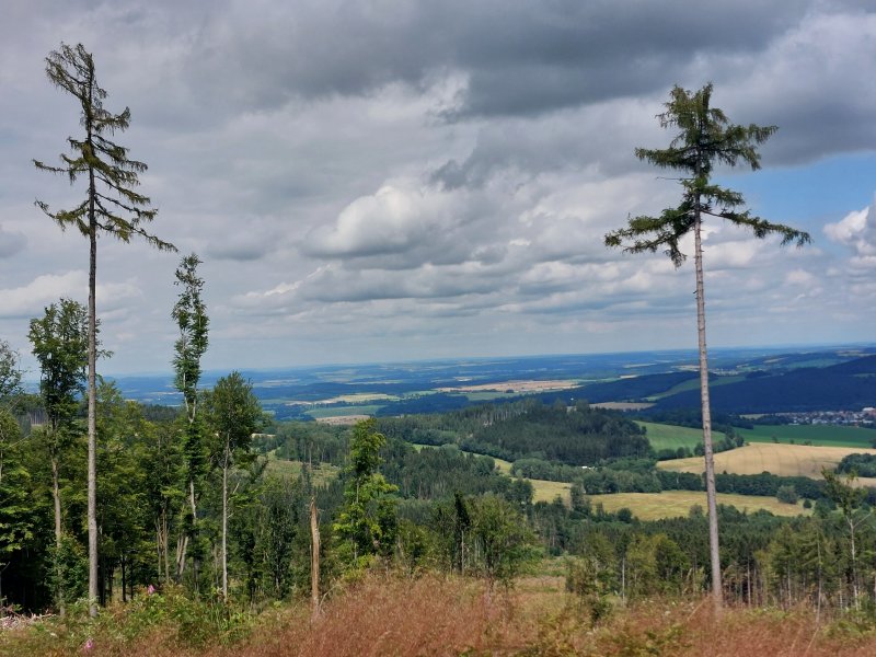 fotografie z akce Týden v Českém lese - II.