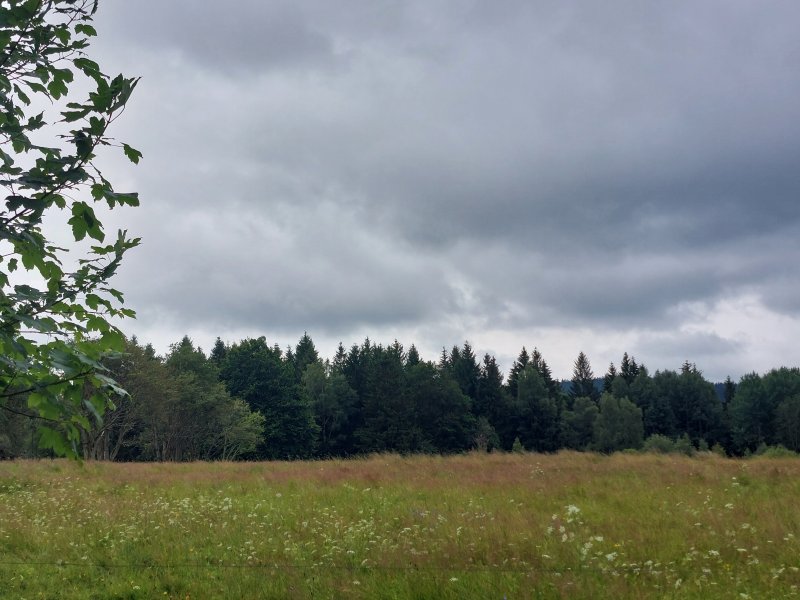 fotografie z akce Týden v Českém lese - II.