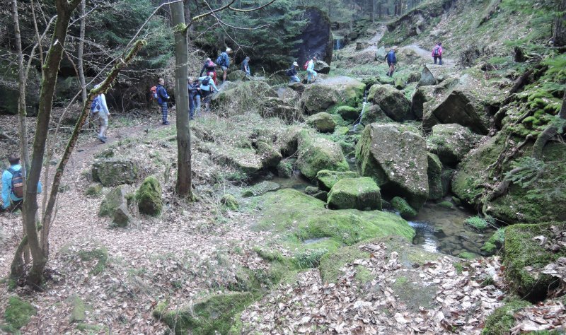 fotografie z akce Z Hřenska do Děčína s Irenou