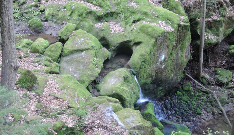 fotografie z akce Z Hřenska do Děčína s Irenou