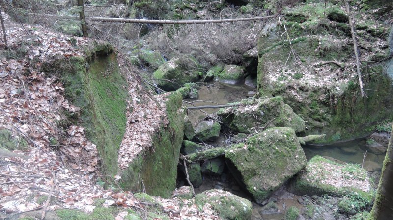 fotografie z akce Z Hřenska do Děčína s Irenou