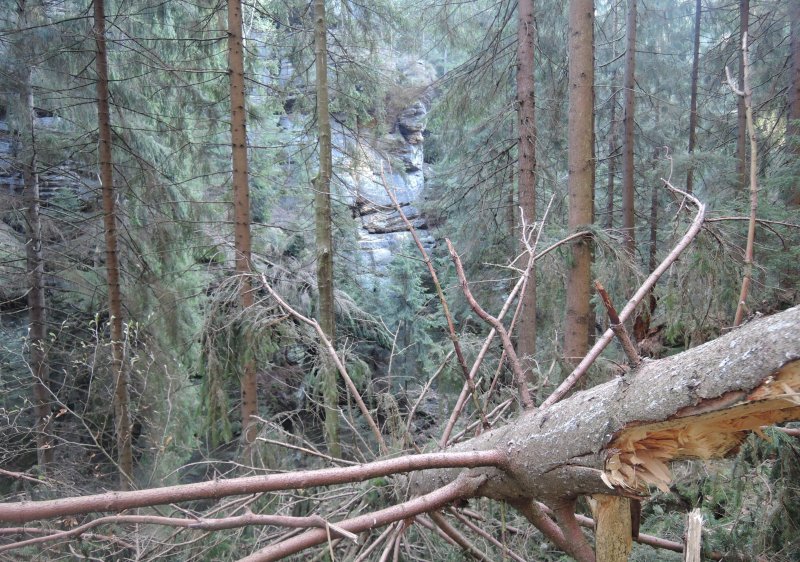 fotografie z akce Z Hřenska do Děčína s Irenou