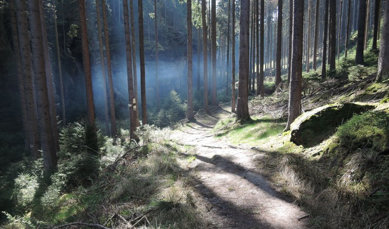 fotografie z akce Z Hřenska do Děčína s Irenou