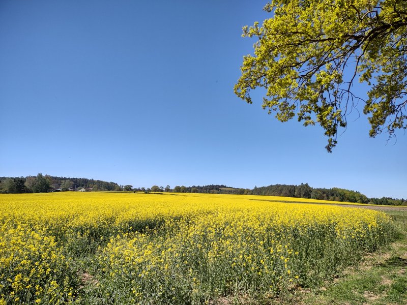 fotografie z akce ... a zpět na Blaník/12. etapa