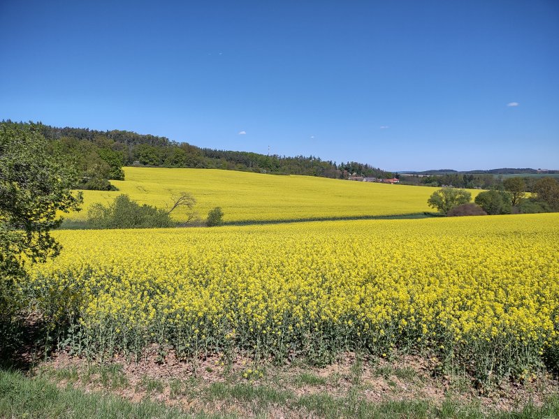 fotografie z akce ... a zpět na Blaník/12. etapa