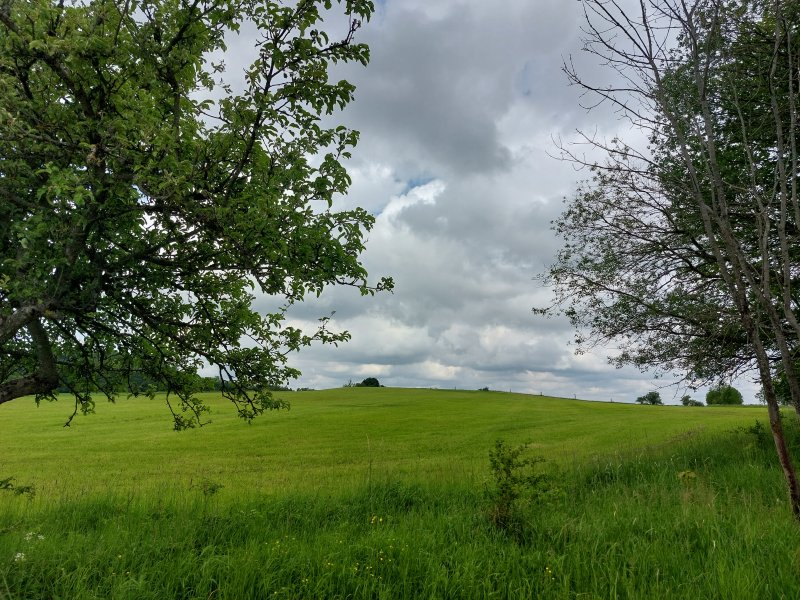 fotografie z akce ... a zpět na Blaník/13. etapa