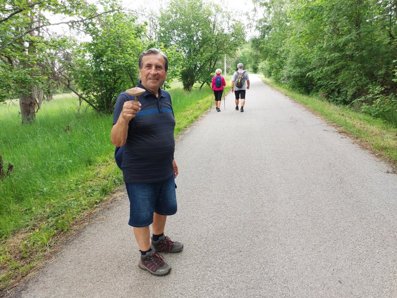 fotografie z akce ... a zpět na Blaník/13. etapa