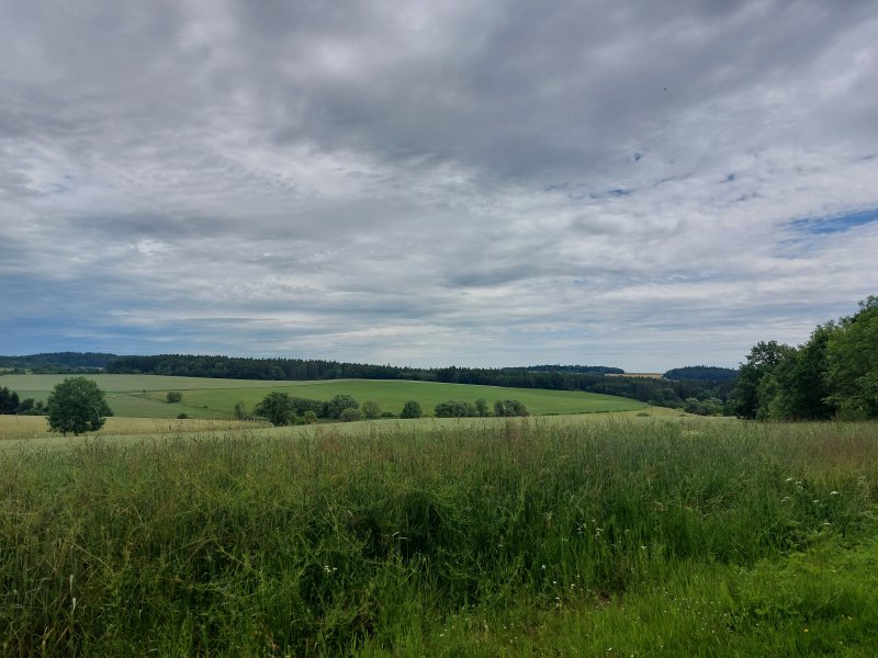 fotografie z akce ... a zpět na Blaník/14. etapa