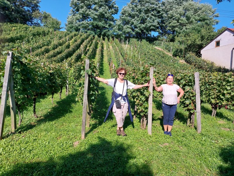 fotografie z akce Burčákové putování s Přemkem