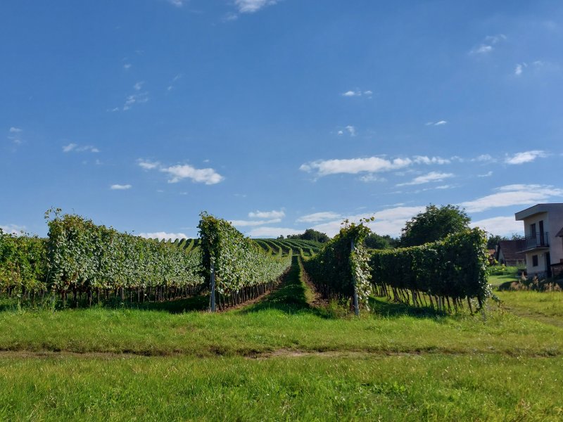 fotografie z akce Burčákové putování s Přemkem