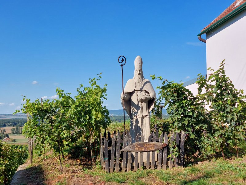 fotografie z akce Burčákové putování s Přemkem
