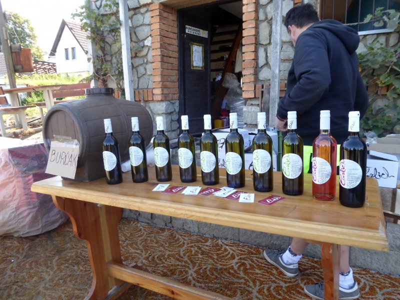 fotografie z akce Burčákové putování s Přemkem