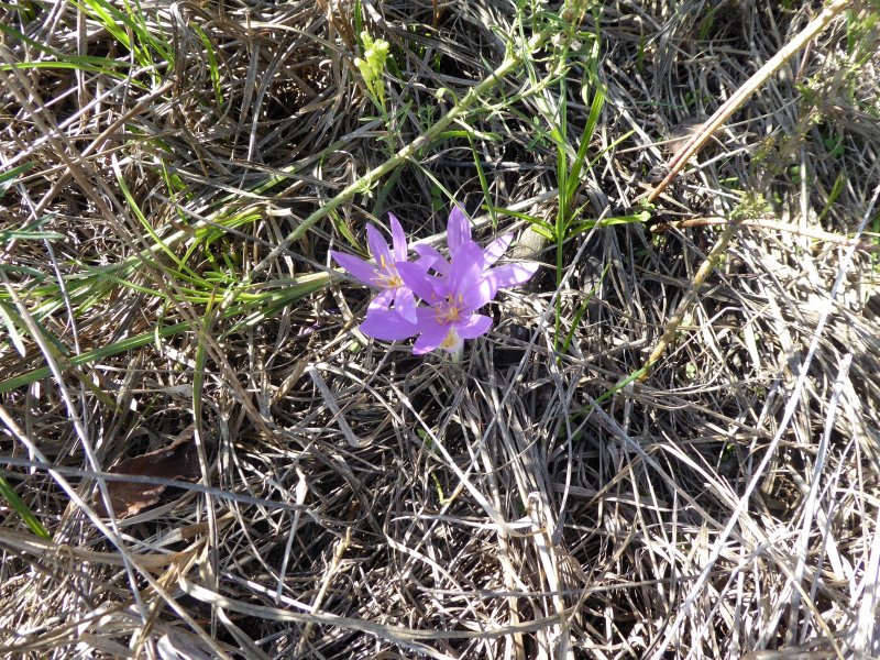 fotografie z akce Burčákové putování s Přemkem