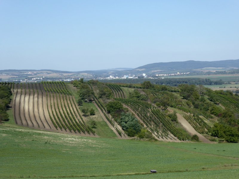 fotografie z akce Burčákové putování s Přemkem