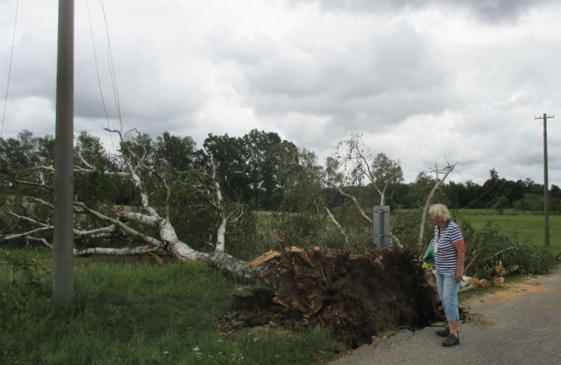 fotografie z akce Jindřichův Hradec s Líbou