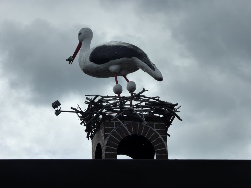 fotografie z akce Jizerky z  Helčou