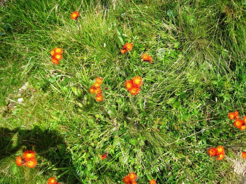 fotografie z akce Krkonoše 2009