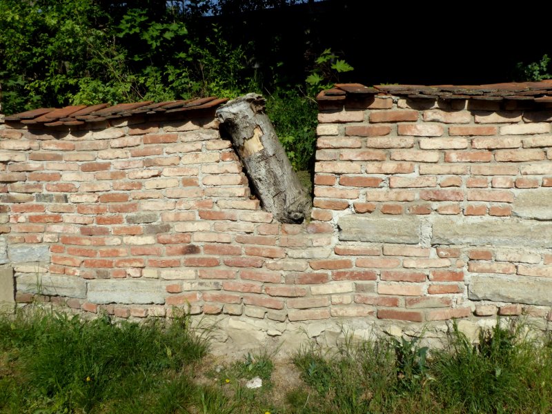 fotografie z akce Mlčechvosty-Říp-Krabčice