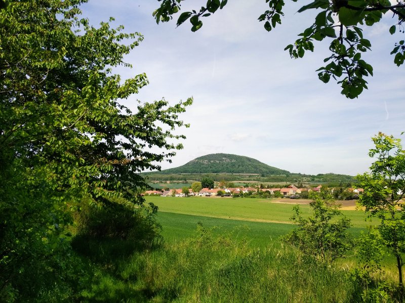 fotografie z akce Mlčechvosty-Říp-Krabčice