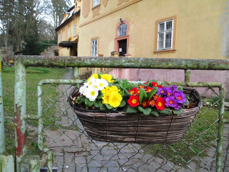 fotografie z akce N s L Lojovice - Jílové