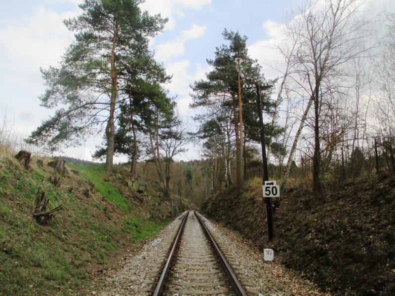 fotografie z akce N s L Lojovice - Jílové