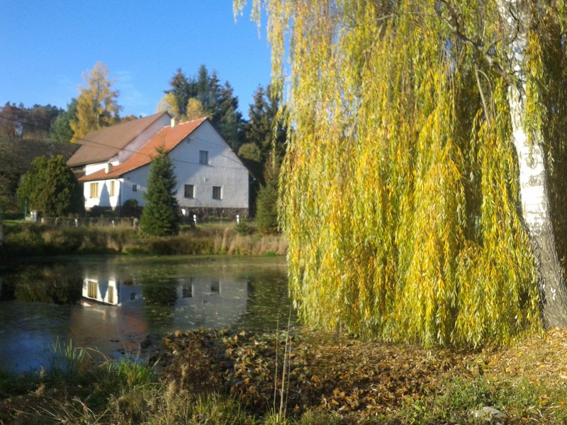 fotografie z akce Neděle s Líbou Mnichovice