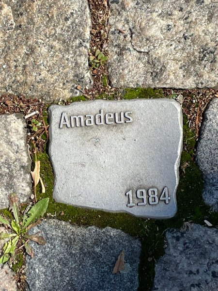 fotografie z akce NseSylvou - Čáslav