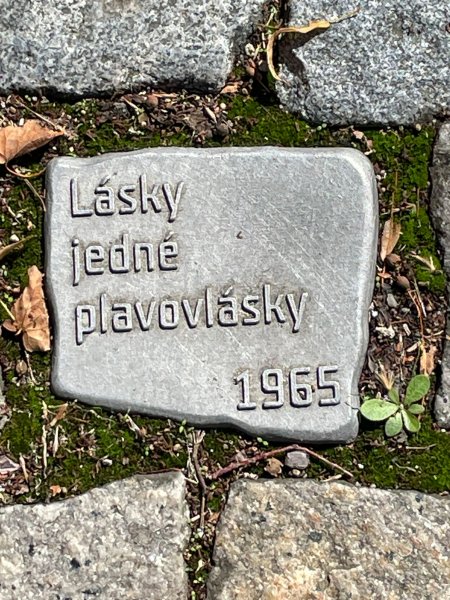 fotografie z akce NseSylvou - Čáslav