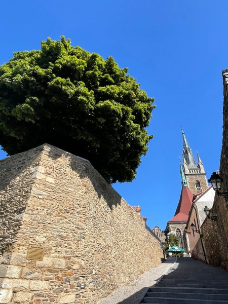 fotografie z akce NseSylvou - Čáslav