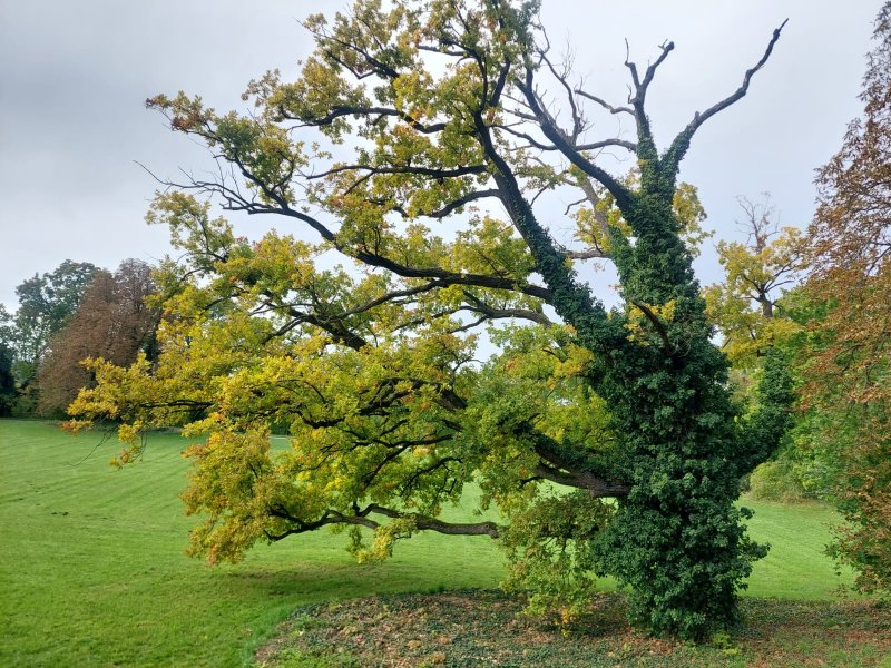 fotografie z akce NseSylvou - Milovice-Lysá n/L
