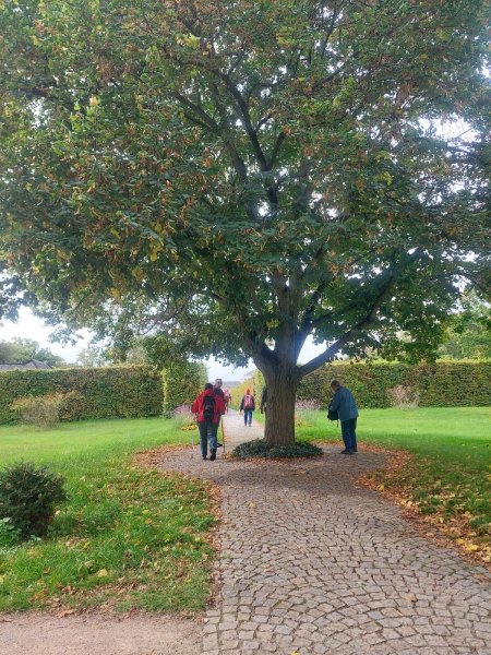 fotografie z akce NseSylvou - Milovice-Lysá n/L