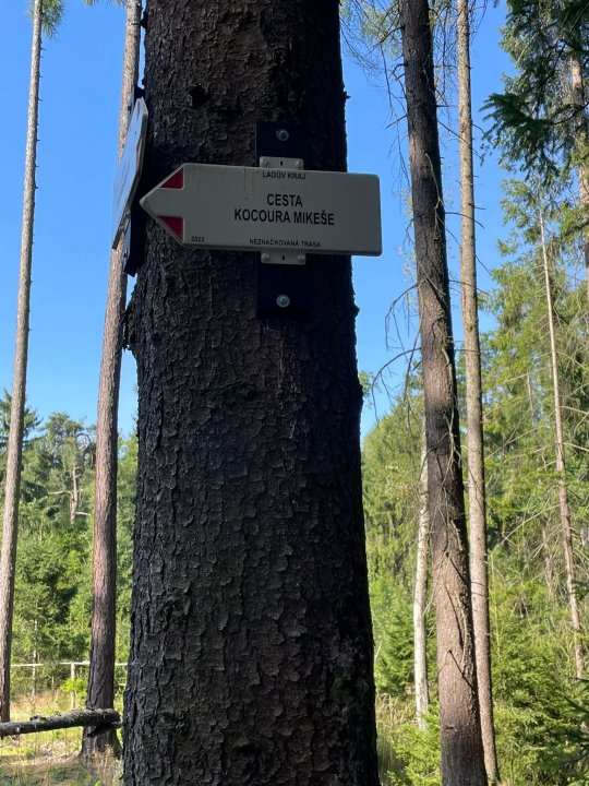 fotografie z akce NseSylvou- z Mukařova do Říčan