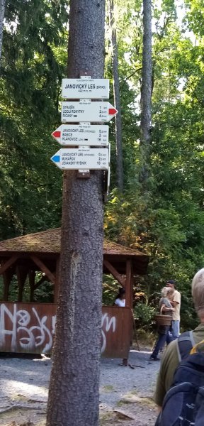 fotografie z akce NseSylvou- z Mukařova do Říčan