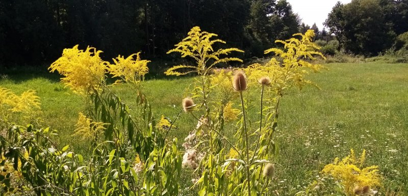 fotografie z akce NseSylvou- z Mukařova do Říčan