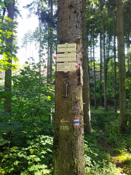 fotografie z akce NsH - Aldašínskou oborou 