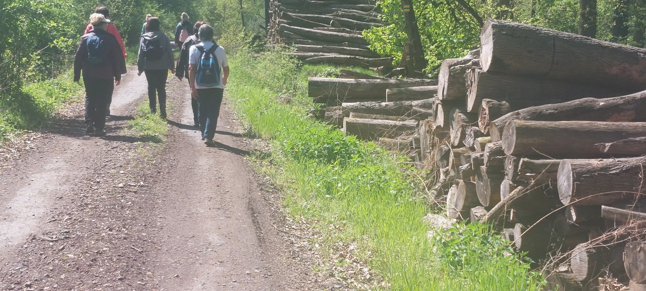 fotografie z akce NsHa - Krajem všetatské cibule