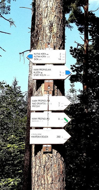 fotografie z akce NsHankou - Přes Kaňk do Polabí