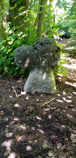 fotografie z akce NsHankou - Přes Kaňk do Polabí